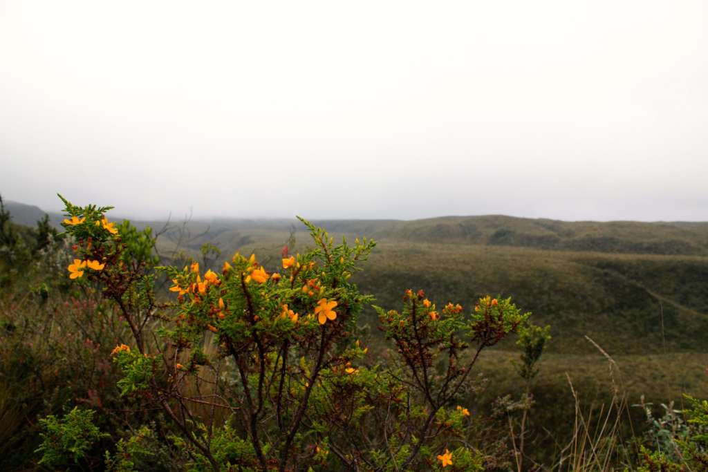 El Parque Nacional de Cotopaxi